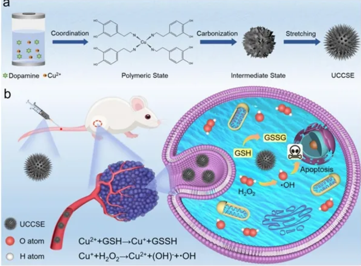 截屏2025-12-11 10.17.02.png